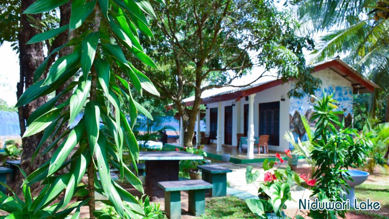 Niduwari Lake Homestay Dambulla Esterno foto