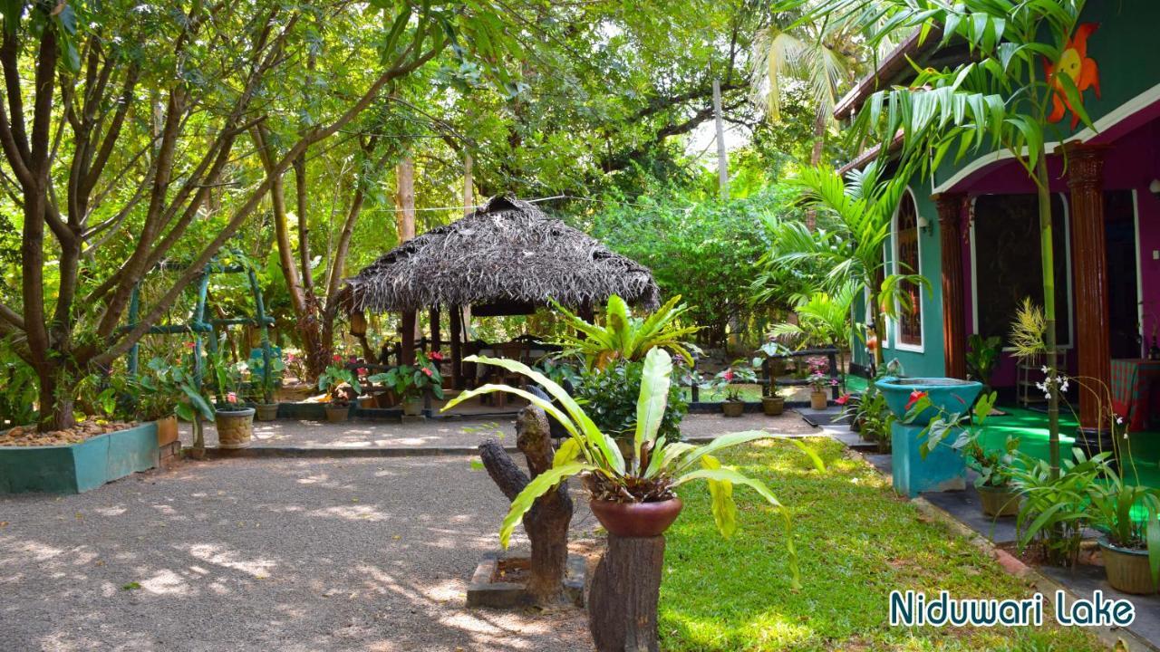 Niduwari Lake Homestay Dambulla Esterno foto
