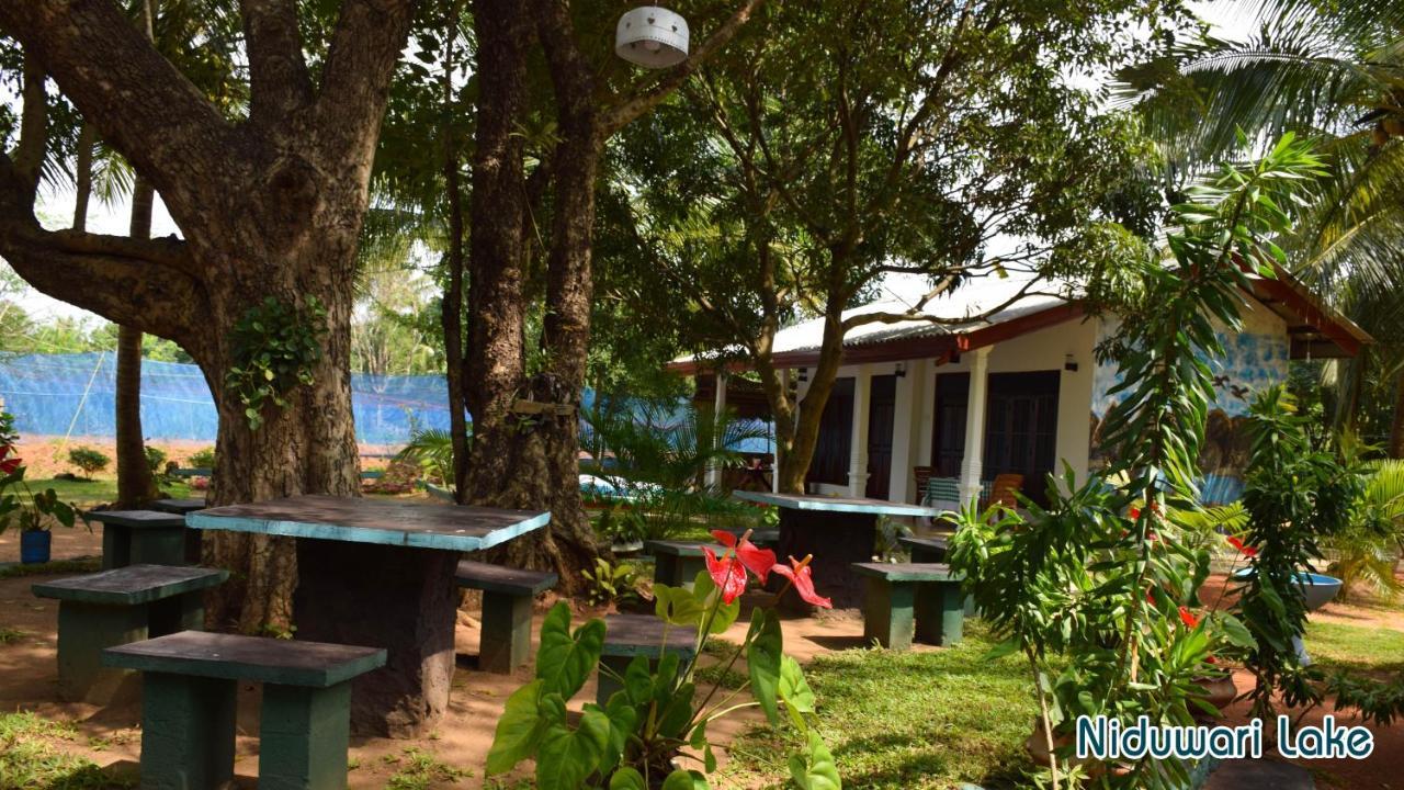 Niduwari Lake Homestay Dambulla Esterno foto