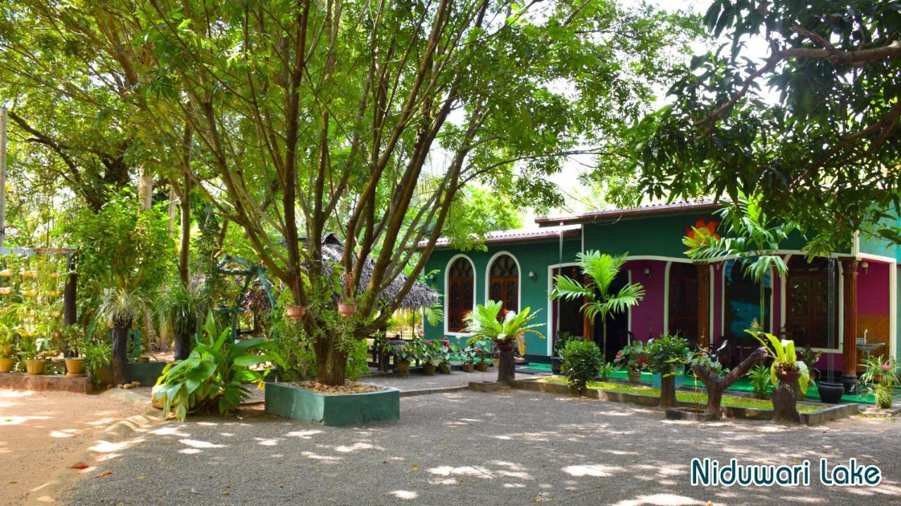 Niduwari Lake Homestay Dambulla Esterno foto