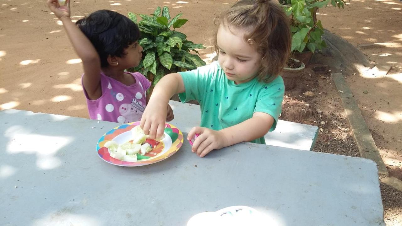 Niduwari Lake Homestay Dambulla Esterno foto
