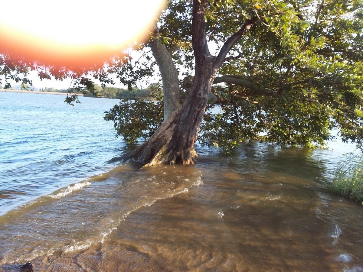 Niduwari Lake Homestay Dambulla Esterno foto